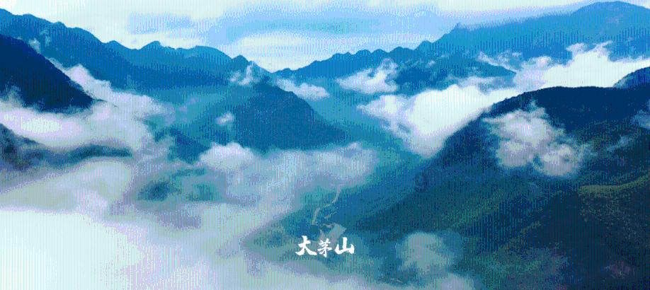 求生之路